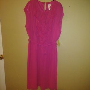 NWT Fuchsia Plus-Size Dress - 24W